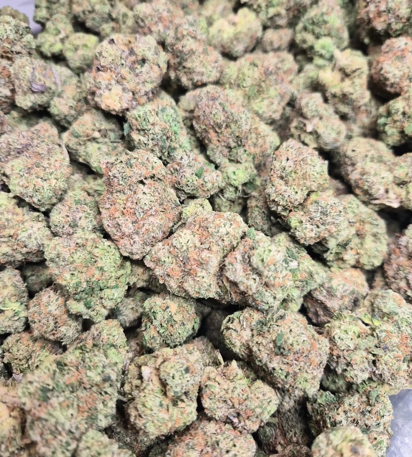 Pink Runtz High THCA Flower Hybrid - CaliGreenGold