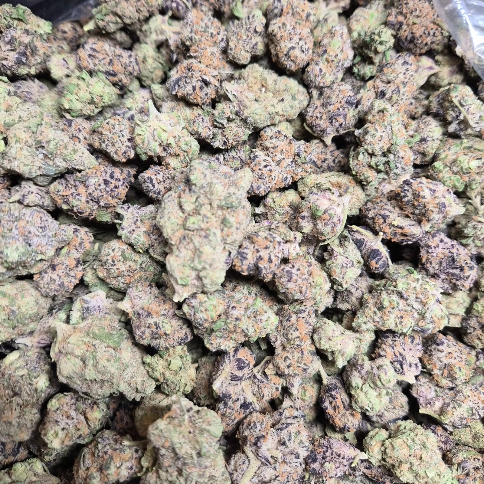 Purple Crack THCA Flower – Indoor Top Shelf Sativa | CaliGreenGold - CaliGreenGold