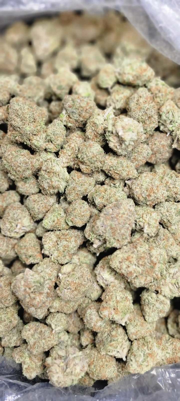Purple Punch High THCA Flower Indica - CaliGreenGold