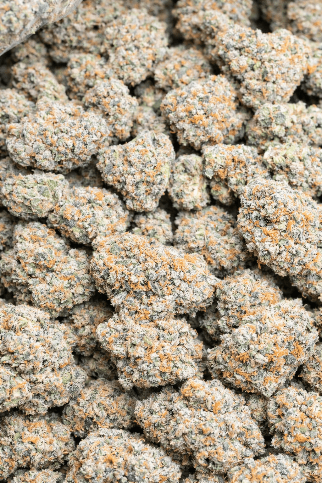 Rainbow Gas High THCA Flower Hybrid - CaliGreenGold