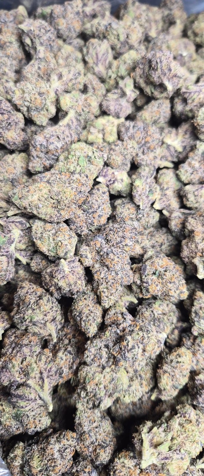 Rainbow Sherbert 11 Exotic Indoor THCA Flower Indica - CaliGreenGold