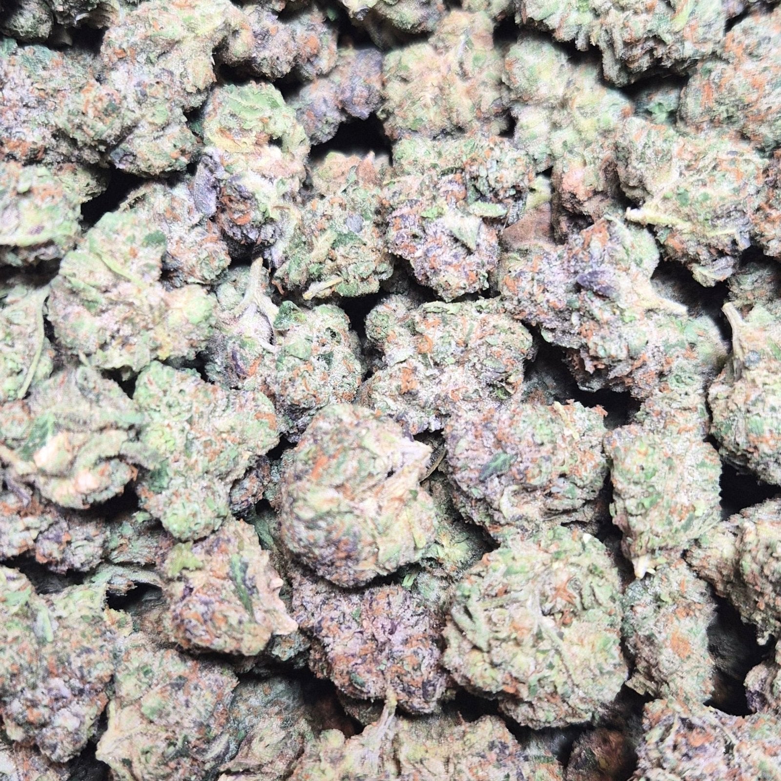 Red Velvet Runtz THCA Flower – Indoor Exotic Hybrid | CaliGreenGold - CaliGreenGold
