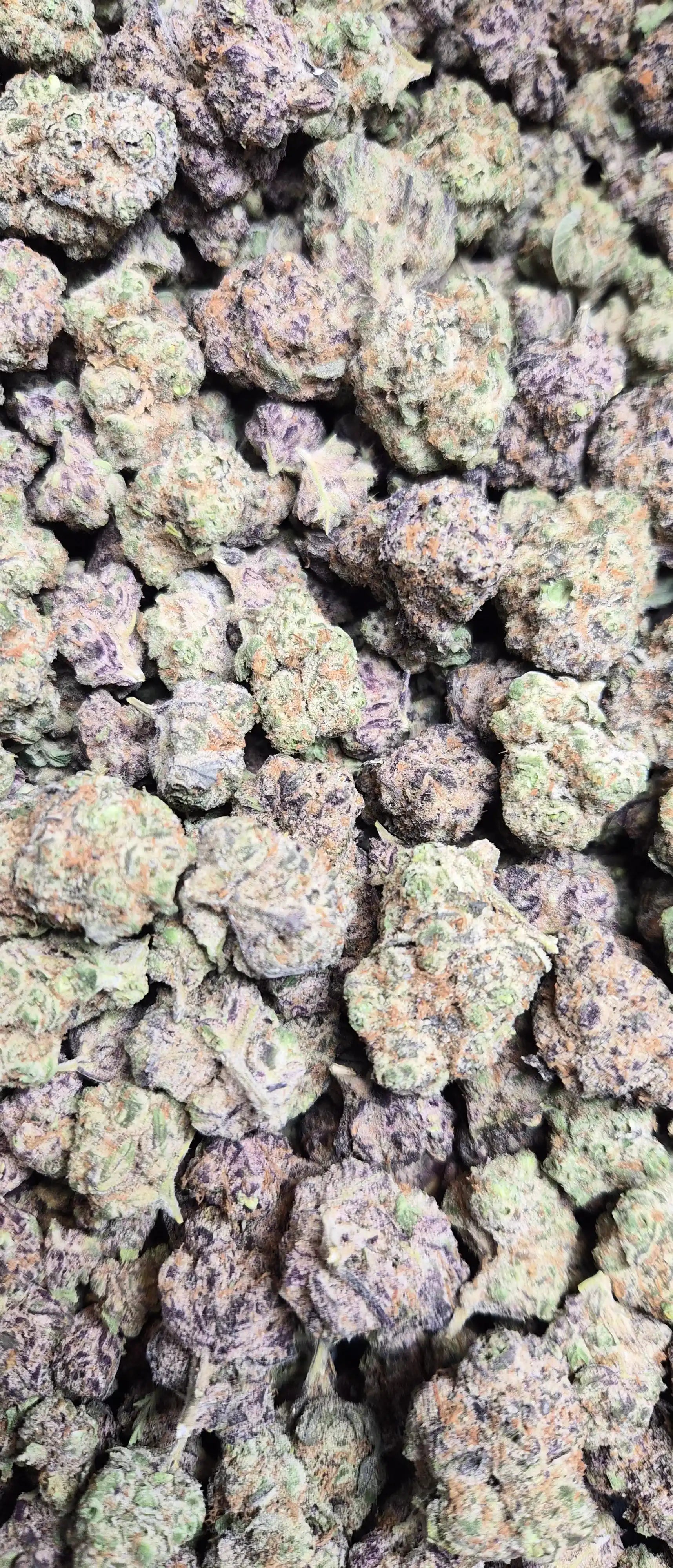 Blueberry Pancakes High THCA Flower Indica, INDICA, CaliGreenGold