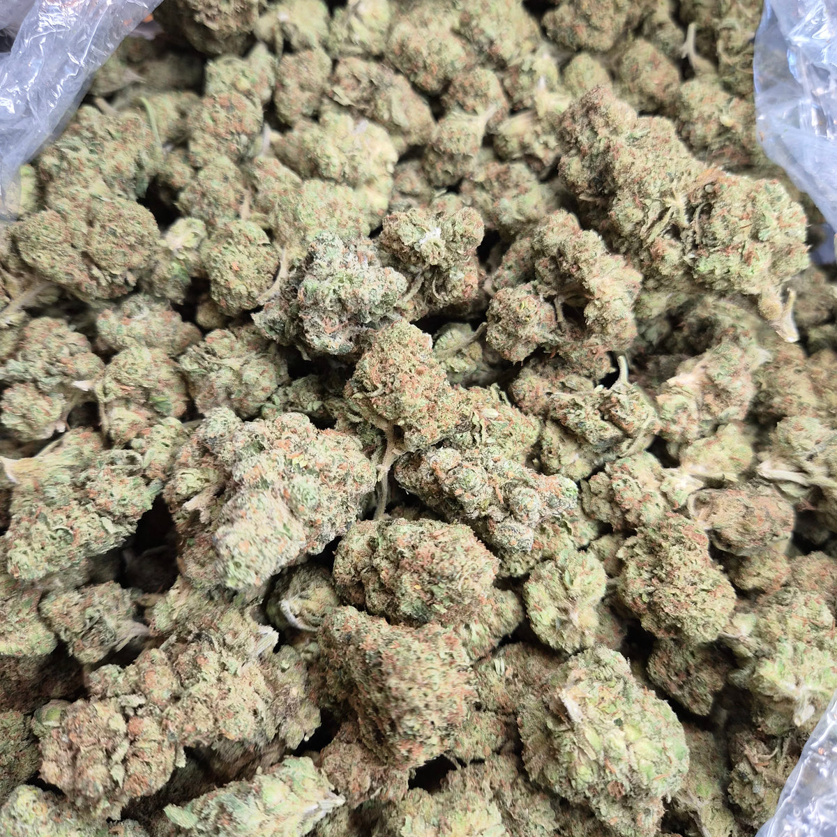 Formula One THCA Flower – Indoor Top Shelf Hybrid | CaliGreenGold