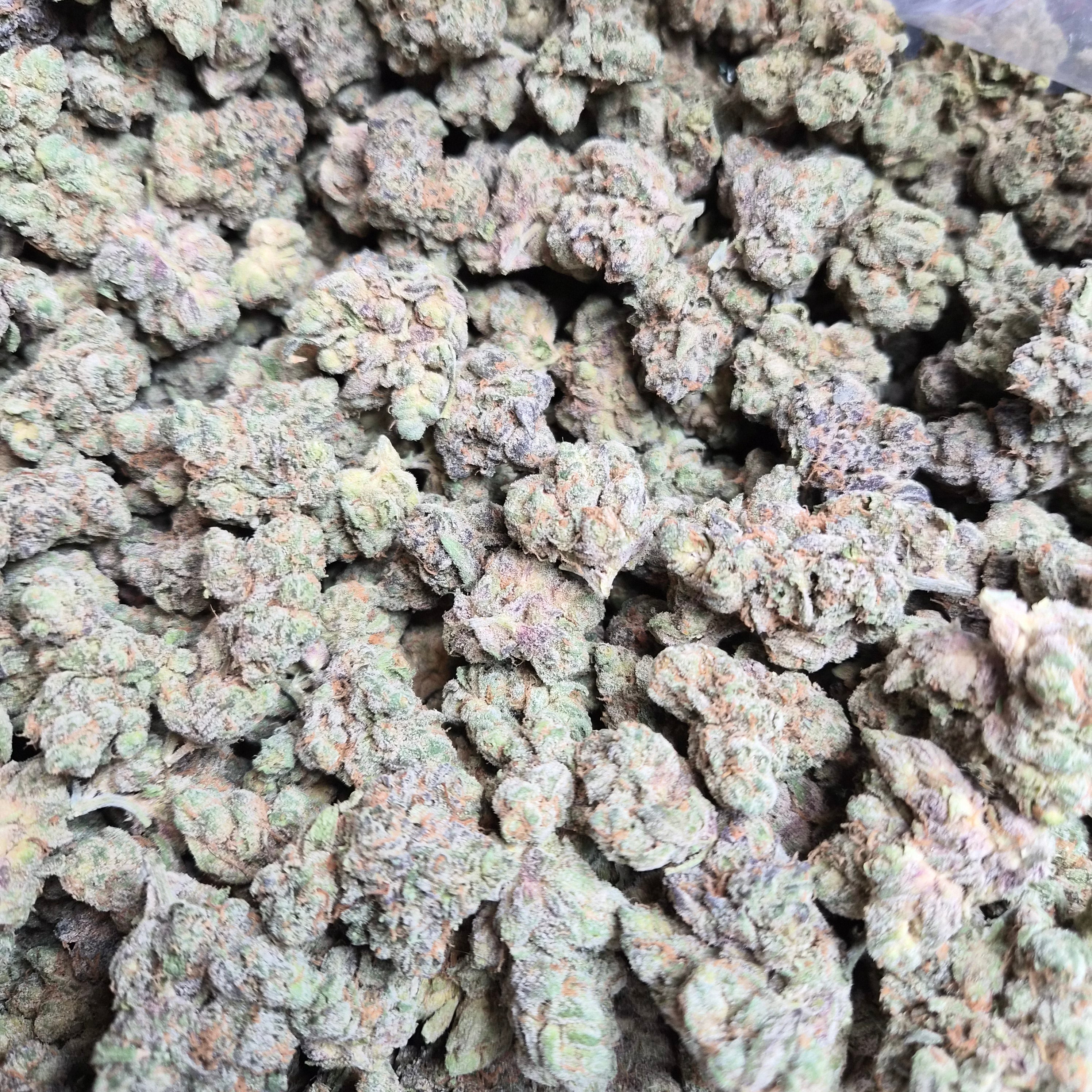 Blue Razz Kush THCA Flower – Indoor Exotic Hybrid | CaliGreenGold