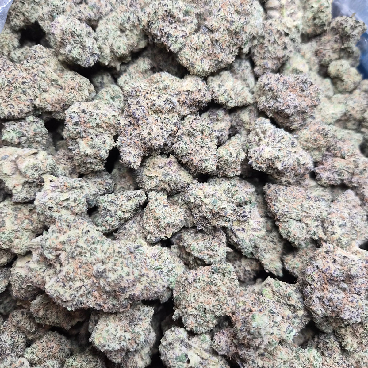Blueberry Caviar THCA Flower – Indoor Exotic Sativa | CaliGreenGold