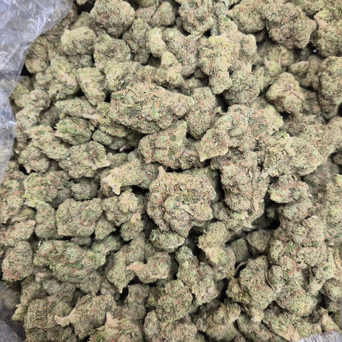 Sour OG THCA Flower – Hybrid · Indoor Top Shelf | CaliGreenGold