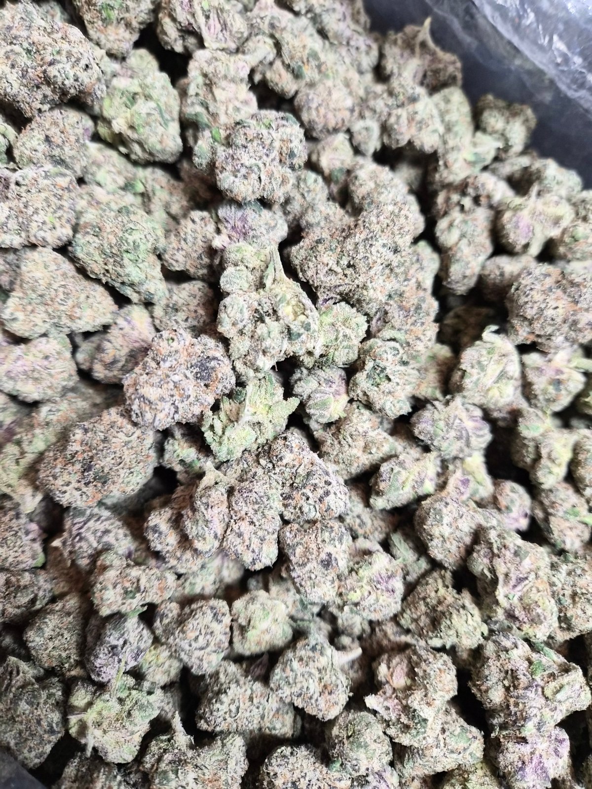 Sapphire THCA Flower – Indoor Exotic Hybrid | CaliGreenGold - CaliGreenGold