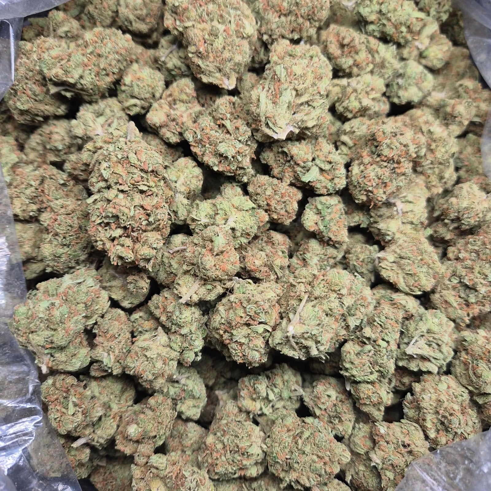 Super Jack THCA Flower – Indoor Exotic Sativa | CaliGreenGold - CaliGreenGold