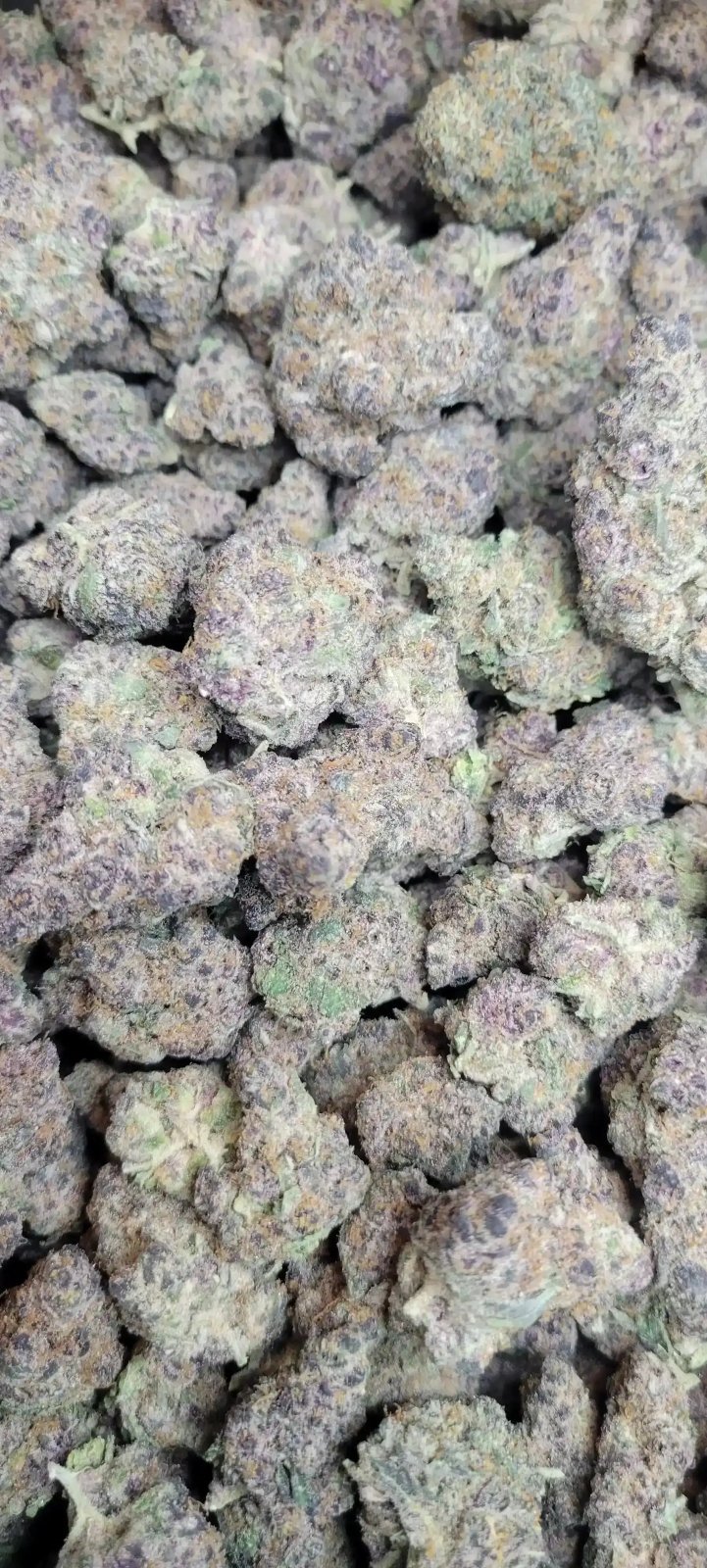 Super Runtz Exotic Indoor THCA Flower Hybrid - CaliGreenGold