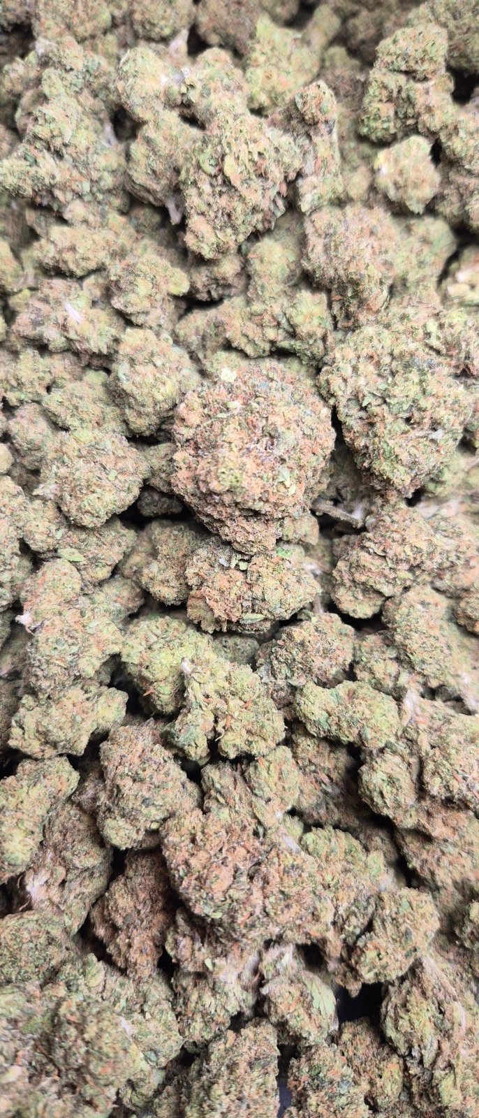Super Runtz High THCA Flower Hybrid - CaliGreenGold