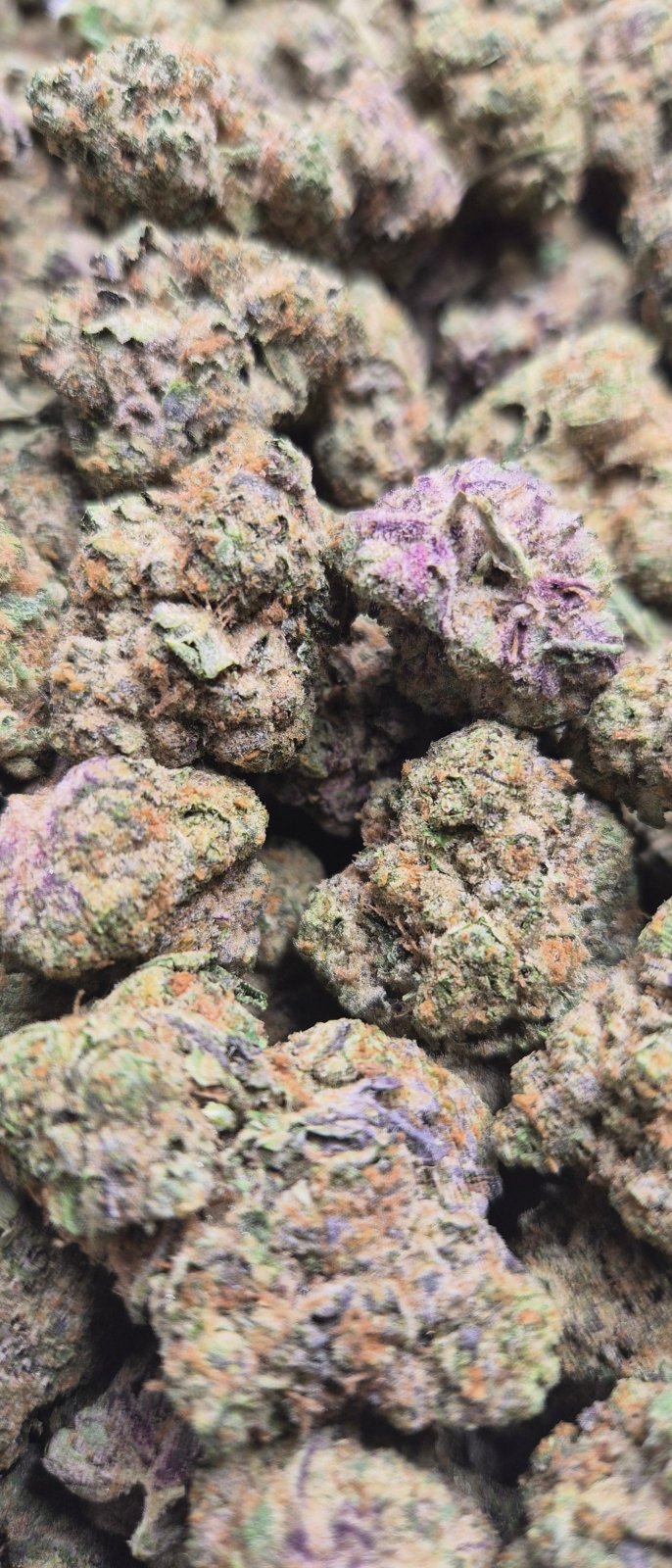 Waffle Cone Exotic Indoor THCA Flower Hybrid - CaliGreenGold