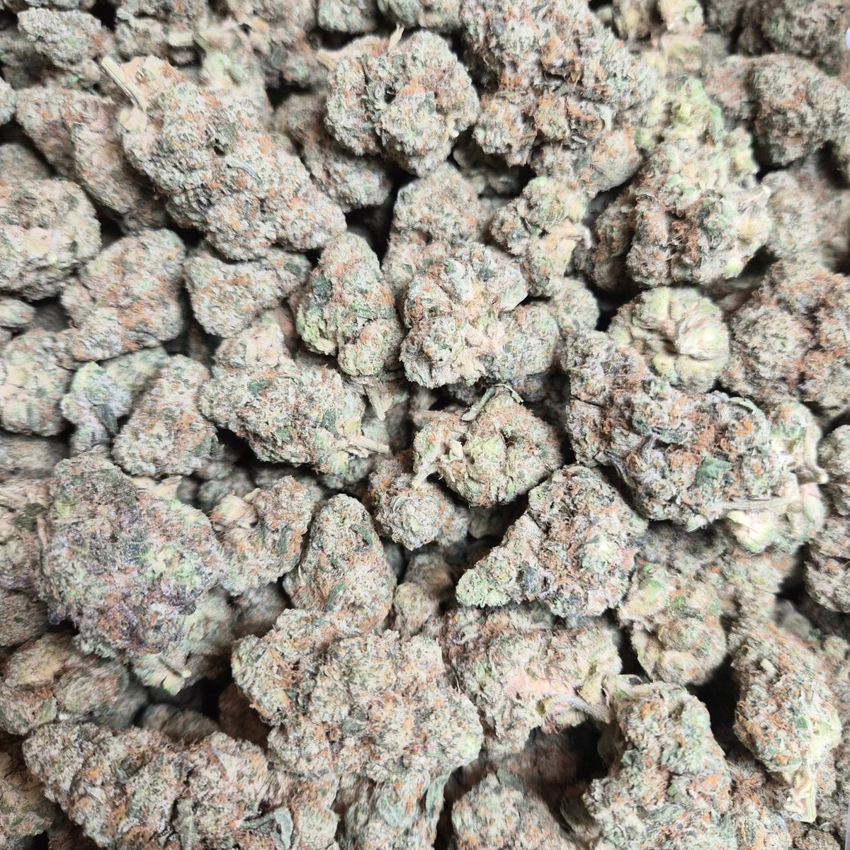 ZOAP Exotic THCA Flower Hybrid - CaliGreenGold