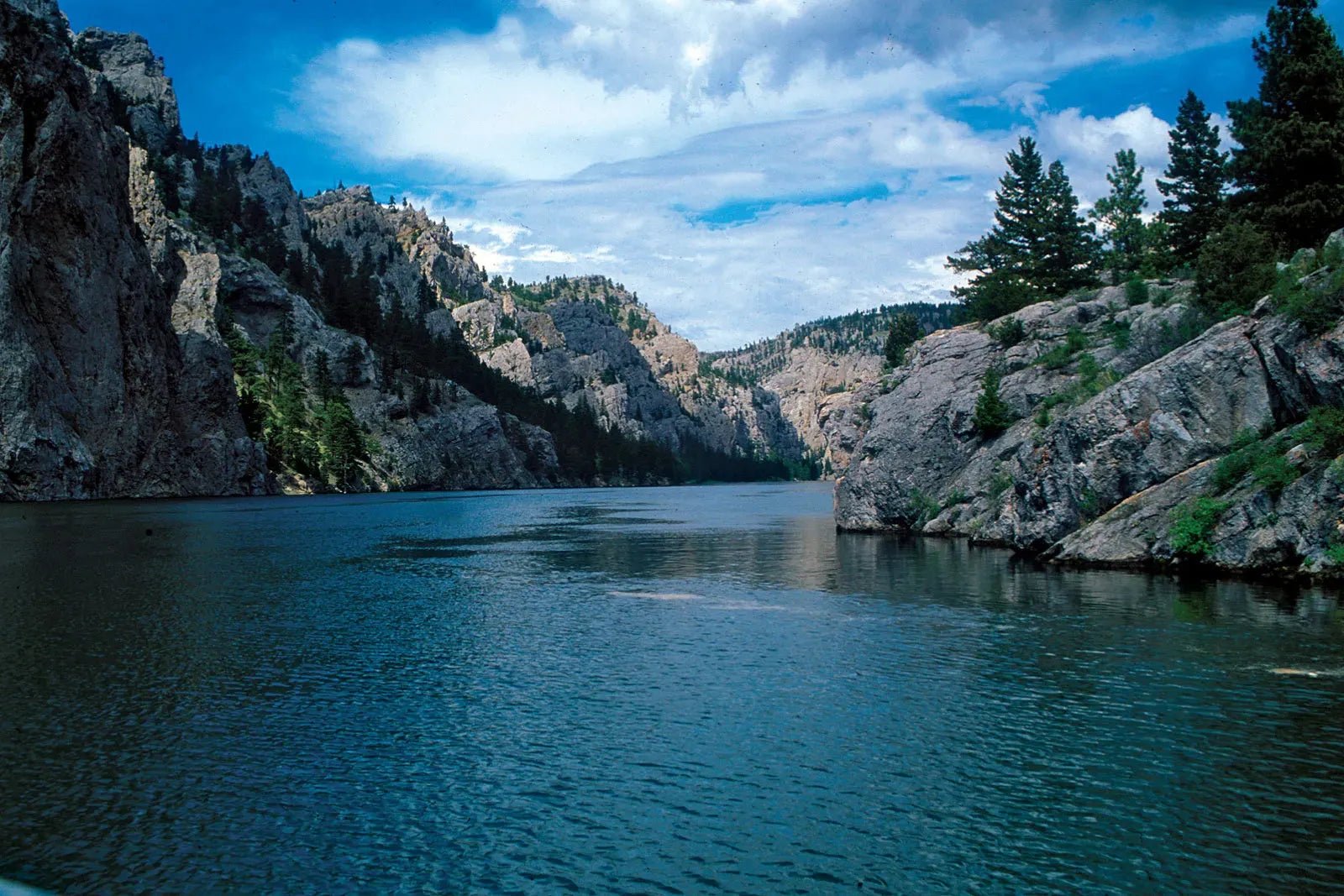 Navigating the Green Wave: The Dynamics of THCA Diamonds in Missouri - CaliGreenGold