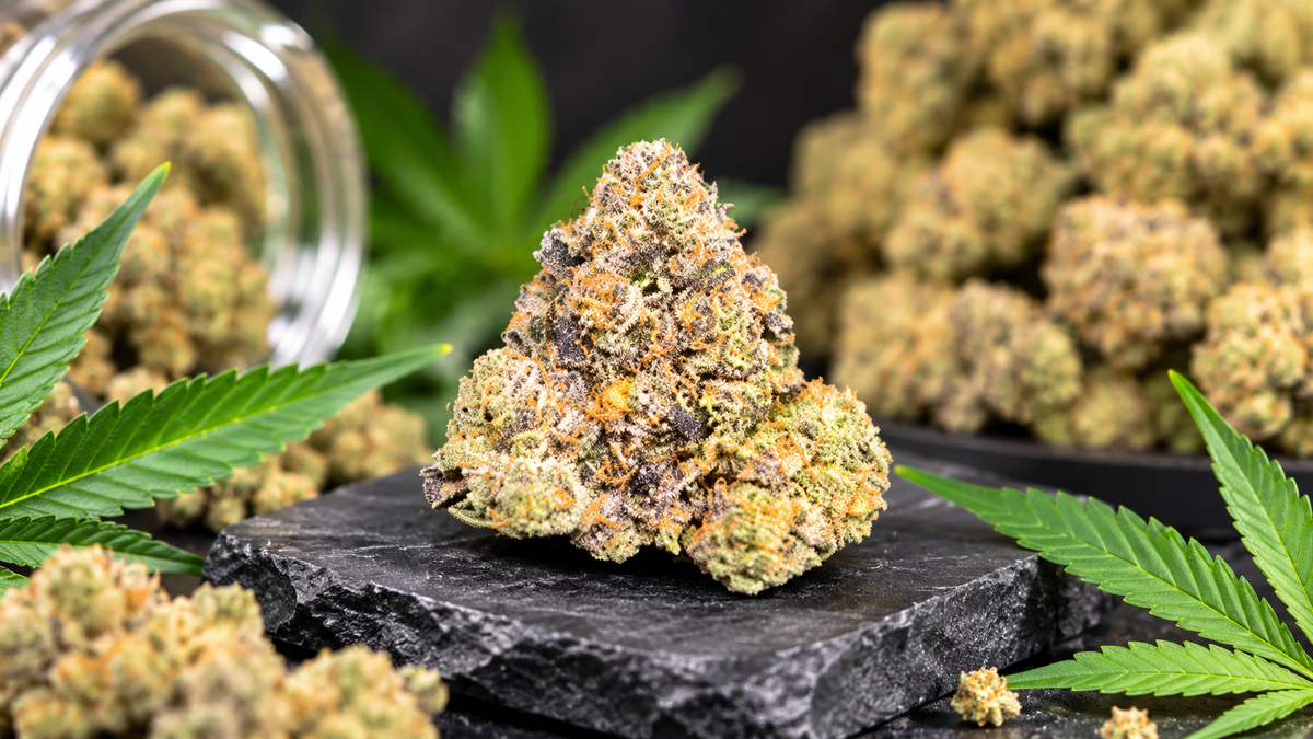 What Should You Know About Exotic THCA Flower Before Choosing a Product? - CaliGreenGold