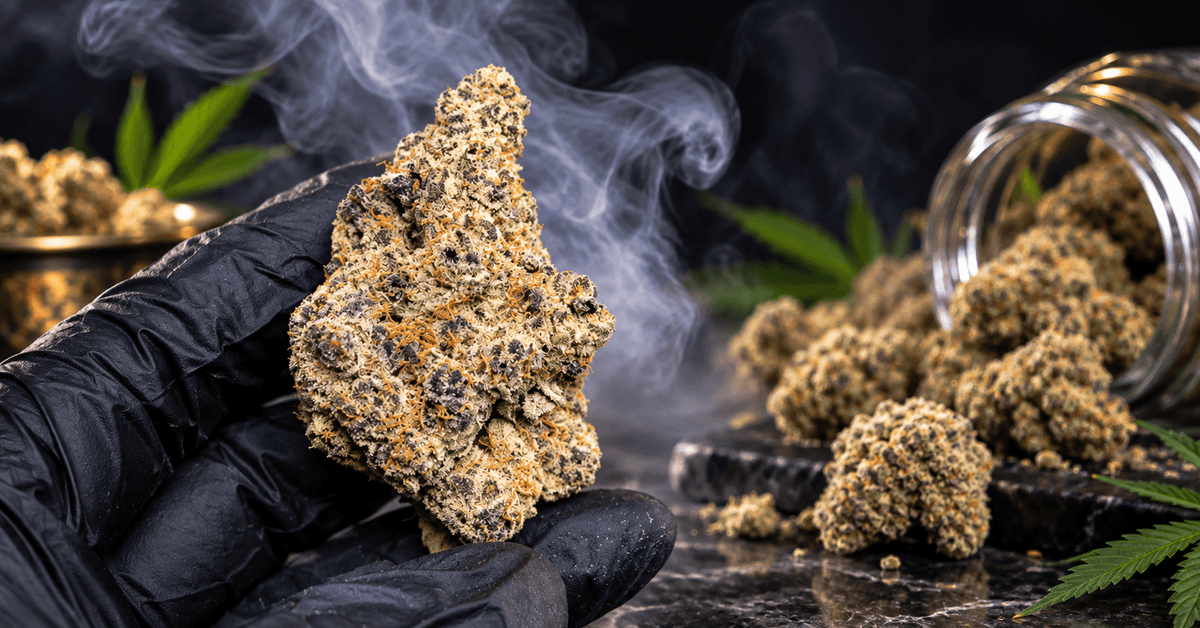 Why Super Runtz Stands Out Among THCA Hybrids: Genetics and Flavor Explained? - CaliGreenGold