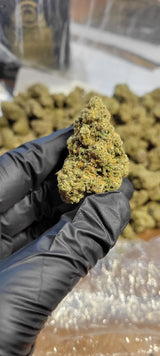 Pluto Exotic Indoor THCA Flower Indica