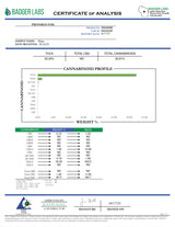 Pluto Exotic Indoor THCA Flower Indica