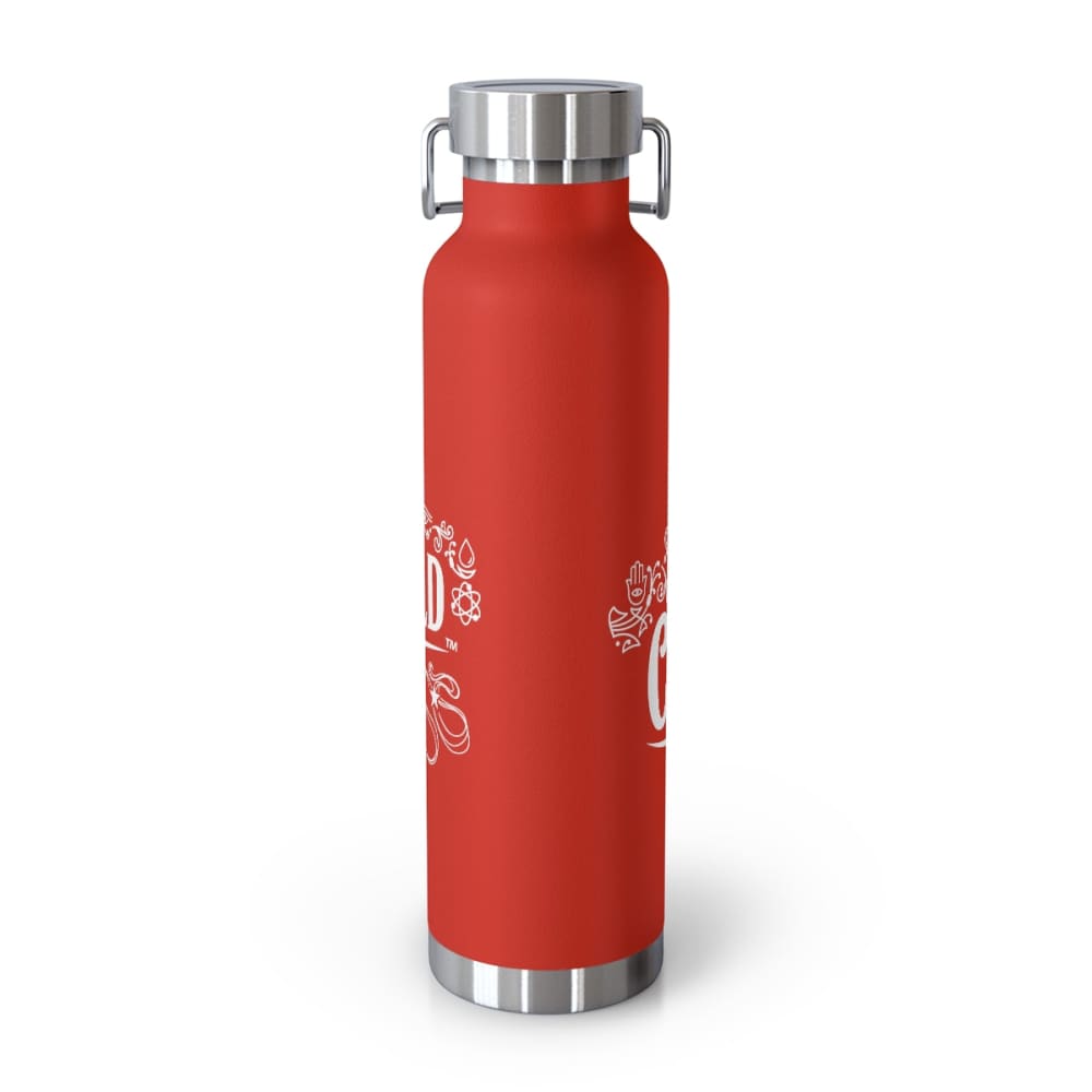 22oz Vacuum Insulated Bottle - Mug
