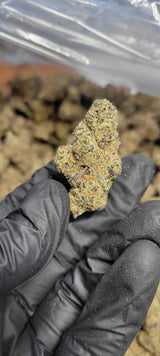 Cadillac Rainbow Exotic Indoor THCA Flower Indica