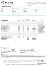 Pineapple Lemonade High THCA Flower Sativa