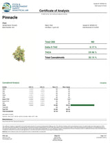 Pinnacle High THCA Flower Hybrid