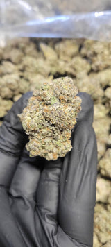 Platinum Lemon Gushers Exotic Indoor THCA Flower Indica