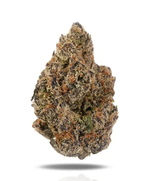 Amaretto di Limon Exotic Indoor THCA Flower Indica