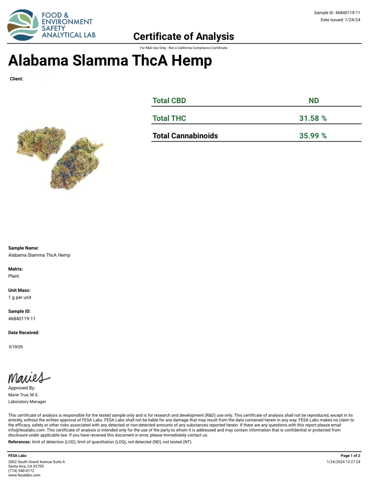 Alabama Slamma Exotic Indoor THCA Flower Sativa