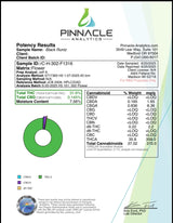 Black Runtz Exotic Indoor THCA Flower Indica