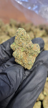 Lemon Tree Exotic Indoor THCA Flower Sativa