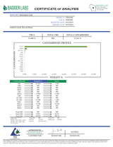 Biscotti Runtz Exotic Indoor THCA Flower Hybrid