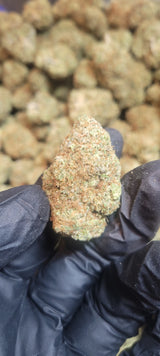 Purple Punch High THCA Flower Indica