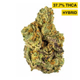 Gary Payton High THCA Flower - Hybrid