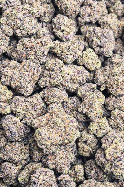 Jungle Juice High THCA Flower Hybrid, HYBRID, CaliGreenGold