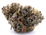 Bulk Exotic Purple Push Pop Indica