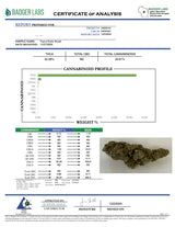 Bulk Exotic Jokerz Indoor Flower Indica