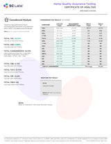 Blueberry Pie Exotic Indoor THCA Flower Hybrid