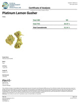 Platinum Lemon Gushers Exotic Indoor THCA Flower Indica