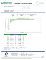 HASH ROSIN - 41 Berries Indica 2g Premium T3