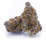 Tropicana Cherry 🏝️🍒  Exotic Flower Sativa