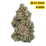 White Runtz Exotic Indoor THCA Flower Hybrid