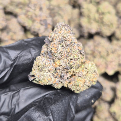 Banana Punch THCA Flower – Indoor Exotic Hybrid | CaliGreenGold - CaliGreenGold