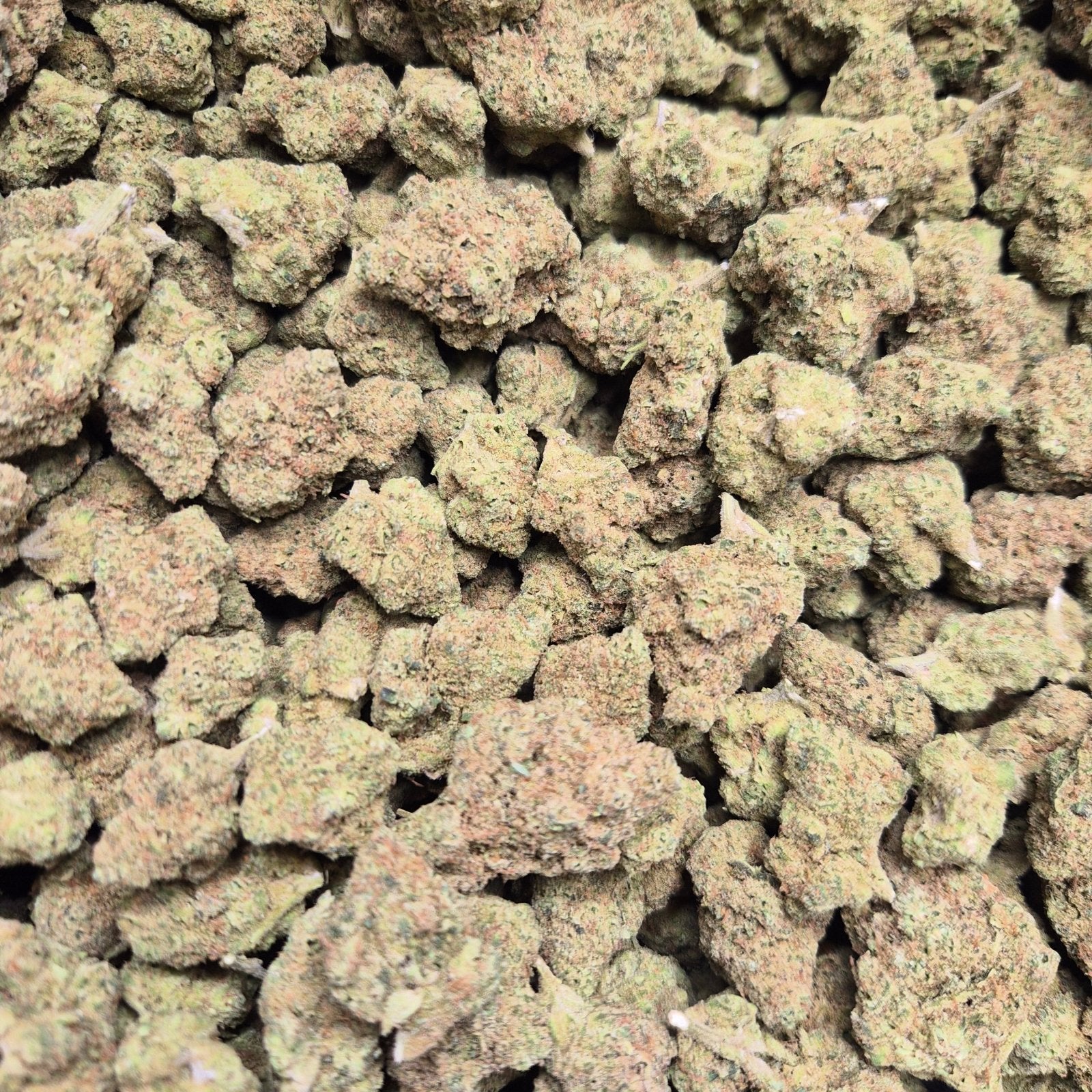 BANJO High THCA Flower Sativa - CaliGreenGold