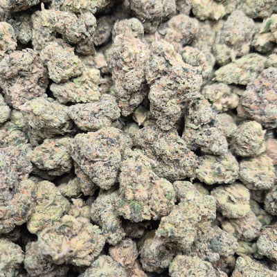Biscotti High THCA Flower Hybrid - CaliGreenGold