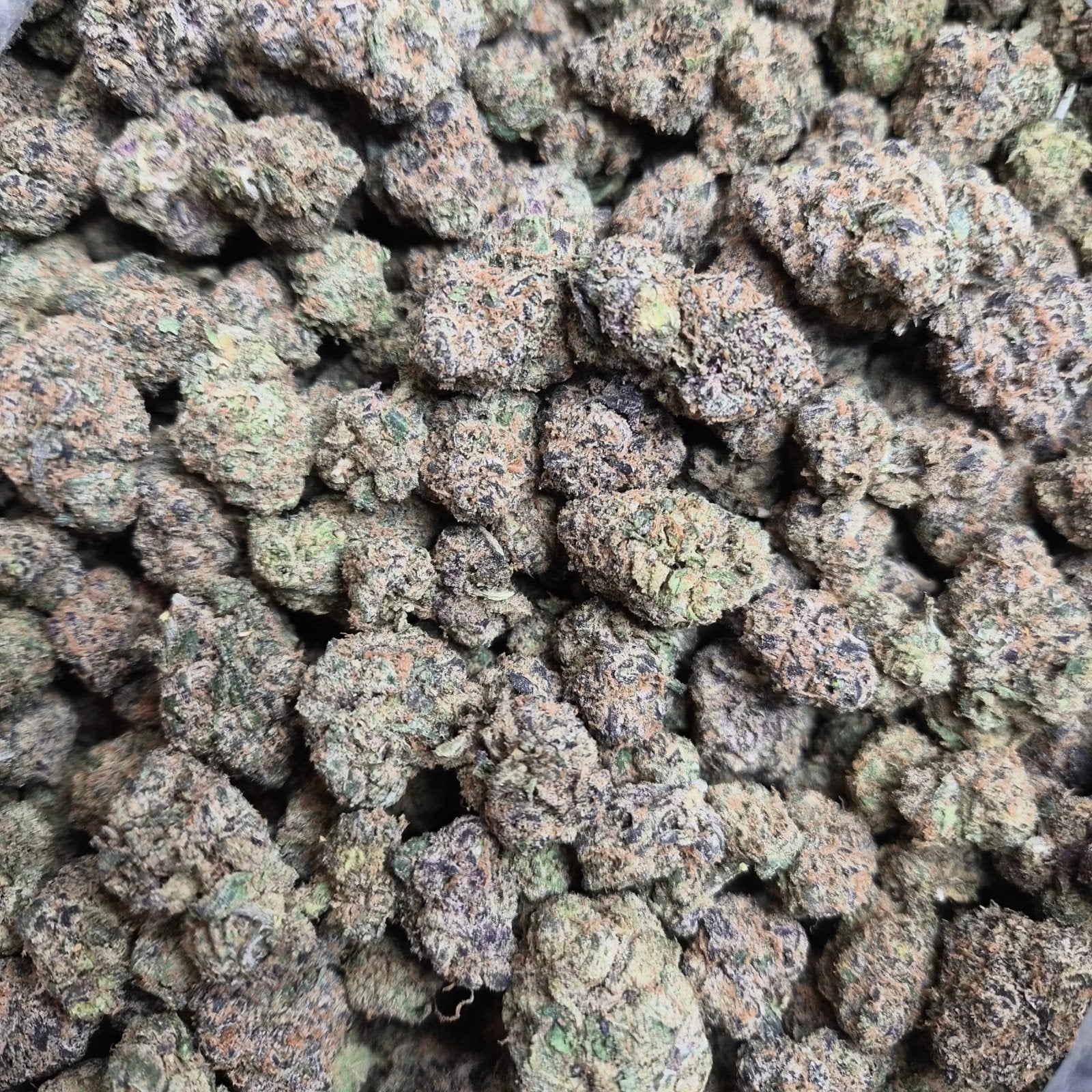 Biscotti Runtz Exotic Indoor THCA Flower Hybrid - CaliGreenGold