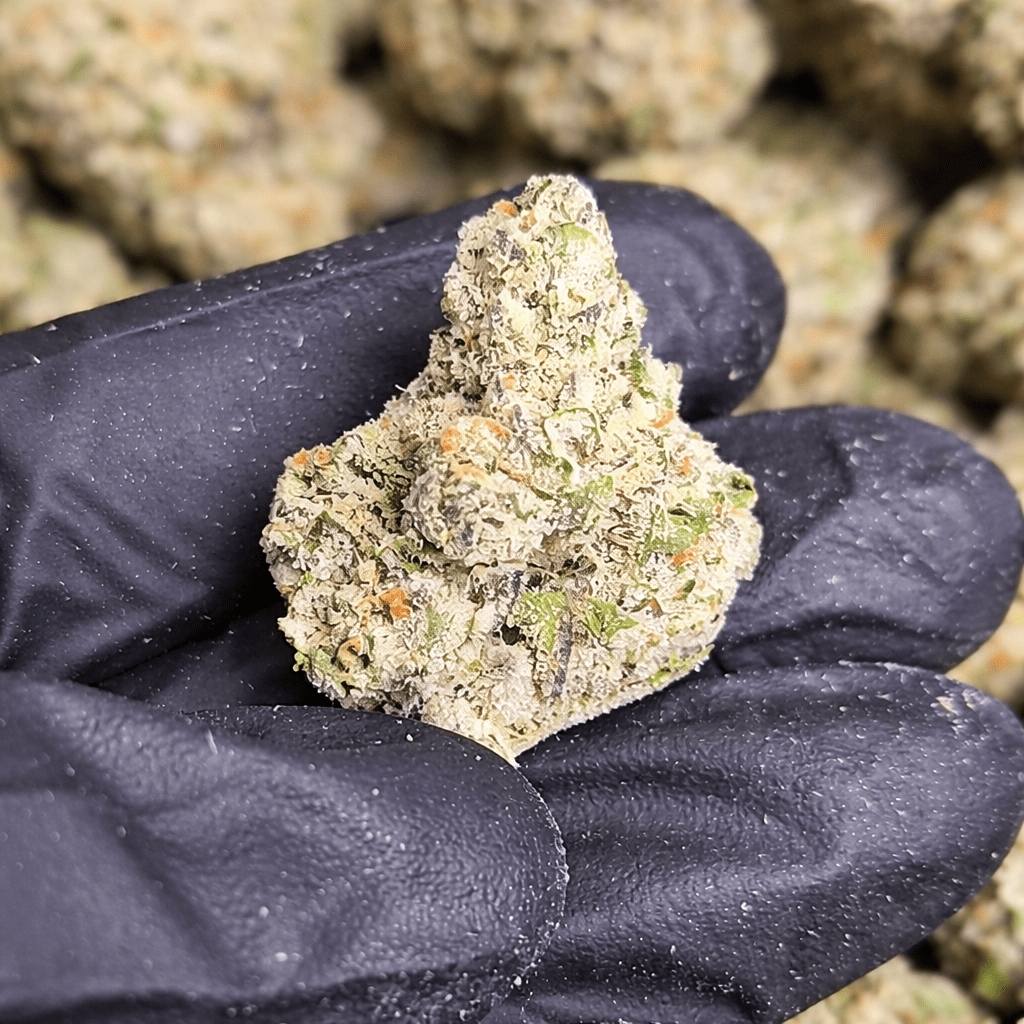 Black Ice Exotic Indoor THCA Flower Indica - CaliGreenGold