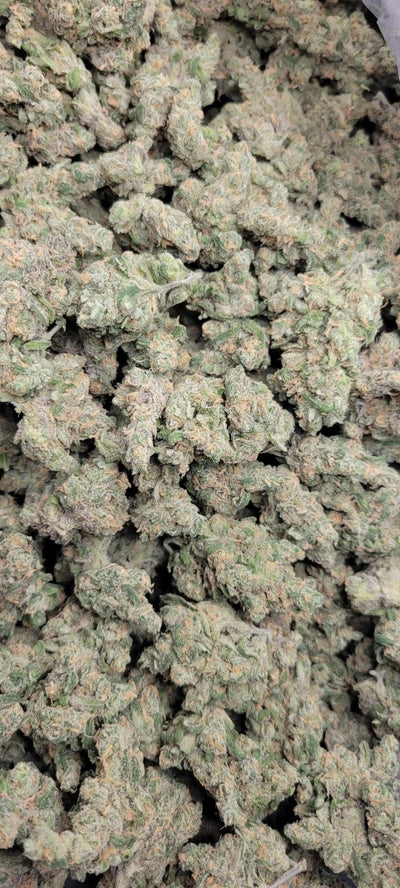 Blue Dream High THCA Flower Sativa - CaliGreenGold