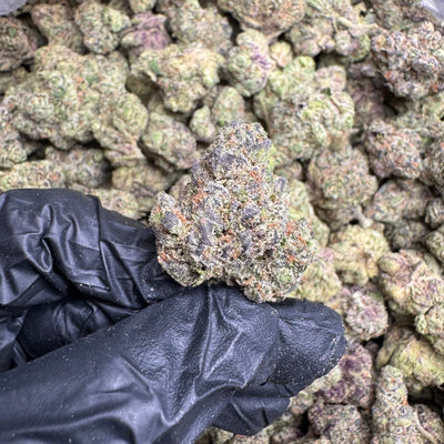 Blue Gummies THCA Flower – Indoor Exotic Indica | CaliGreenGold - CaliGreenGold