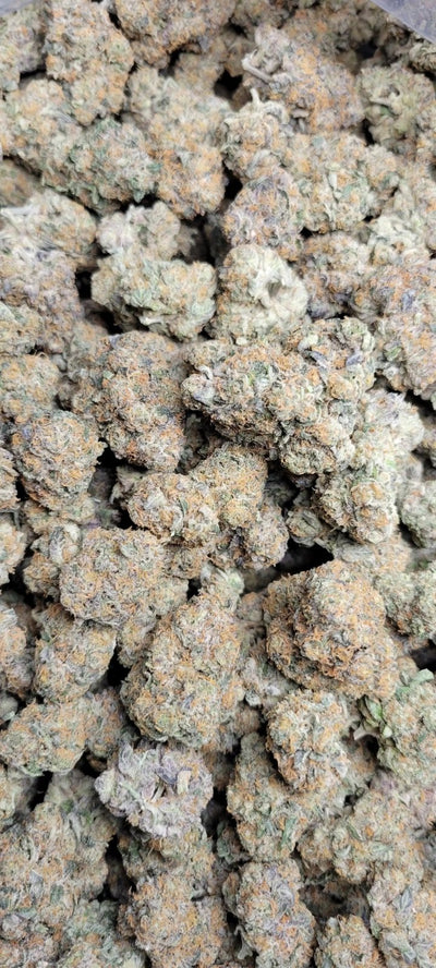 Blue Lobster Exotic Indoor THCA Flower Indica - CaliGreenGold